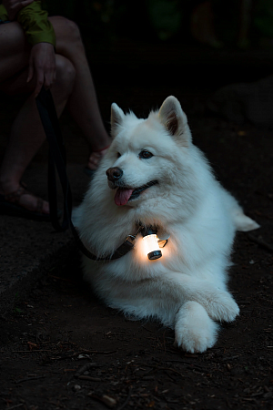 Светодиодный кемпинговый фонарь Ledlenser ML4 Warm Light аккумуляторный - фото Led Lenser (Лед Ленсер)